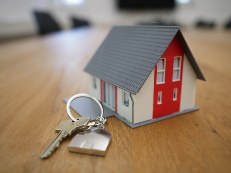 Staying Licensed: A Practical Guide to CE Requirements by State